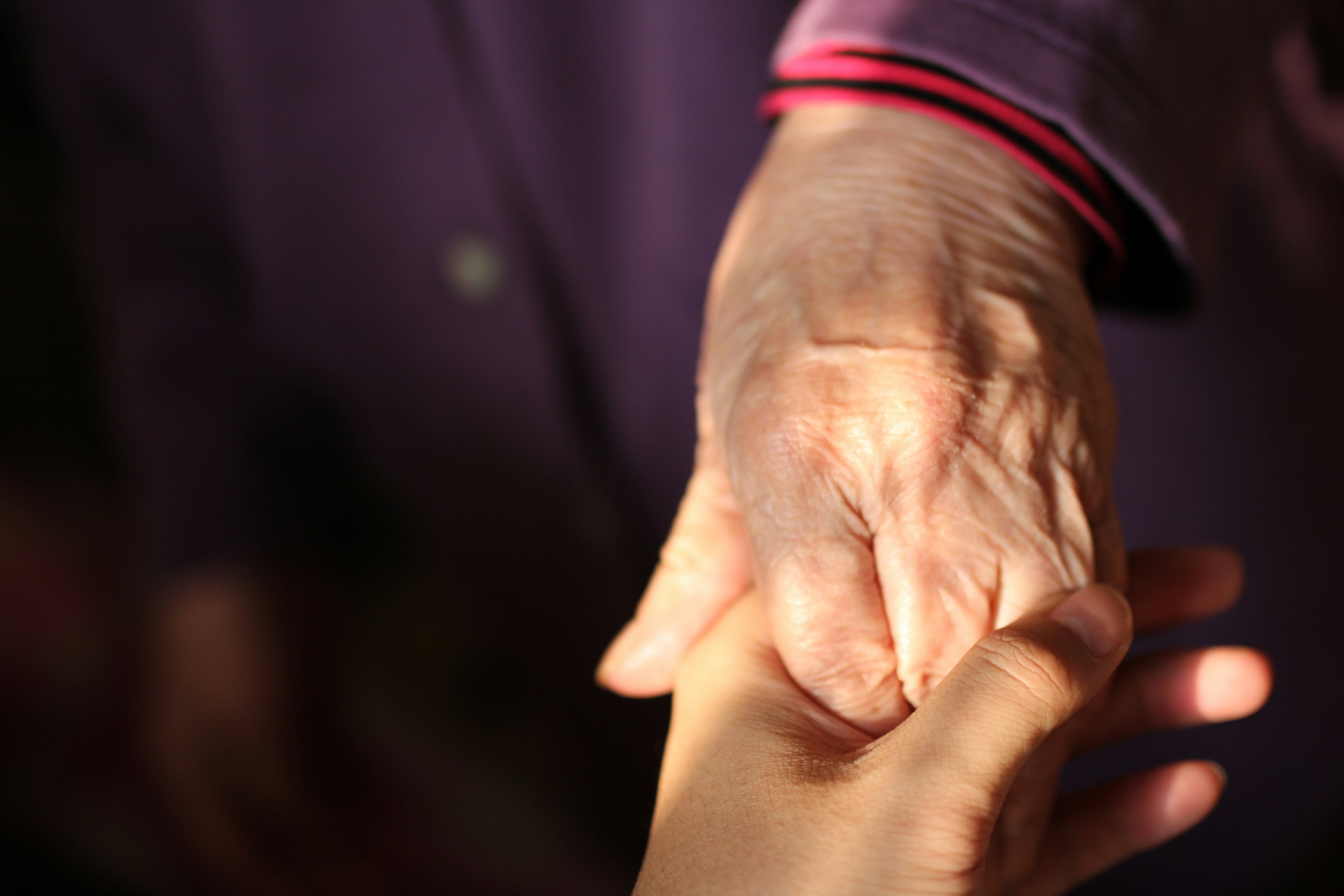 Adult child holding an elderly parent's hand — compassionate estate administration in Southwest Florida